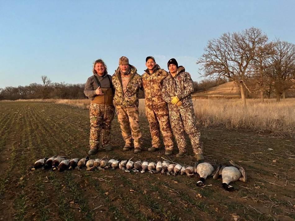 Group of hunters and a long line of geese on the dry ag field