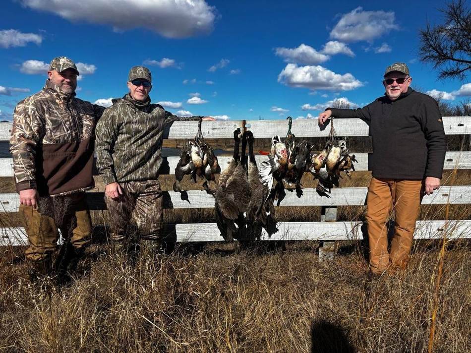 Three hunters at the fence with the morning strap of geese