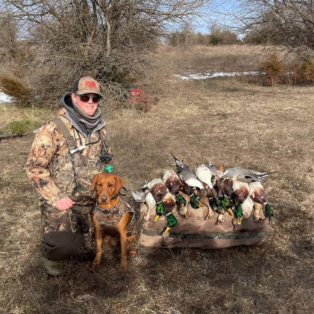 Hunter kneeling with a fox red retriever behind a sled of drake mallards