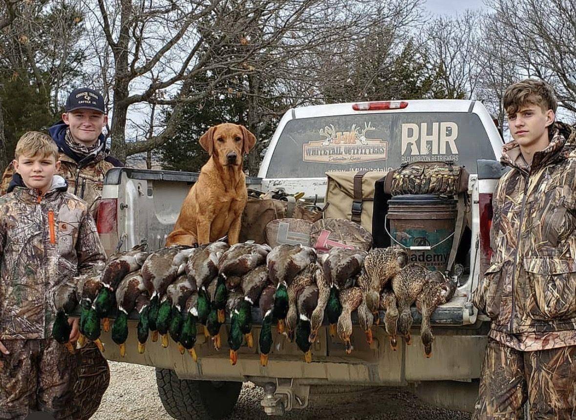 Young hunters and the retriever with a tailgate full of drake mallards