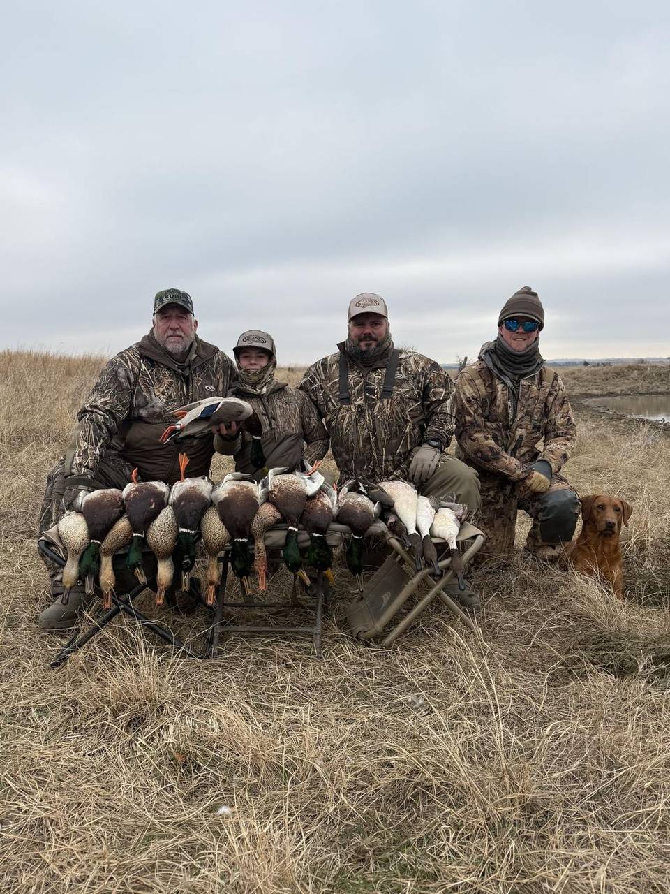 Guides and guests behind a strap of drakes with the retriever alongside