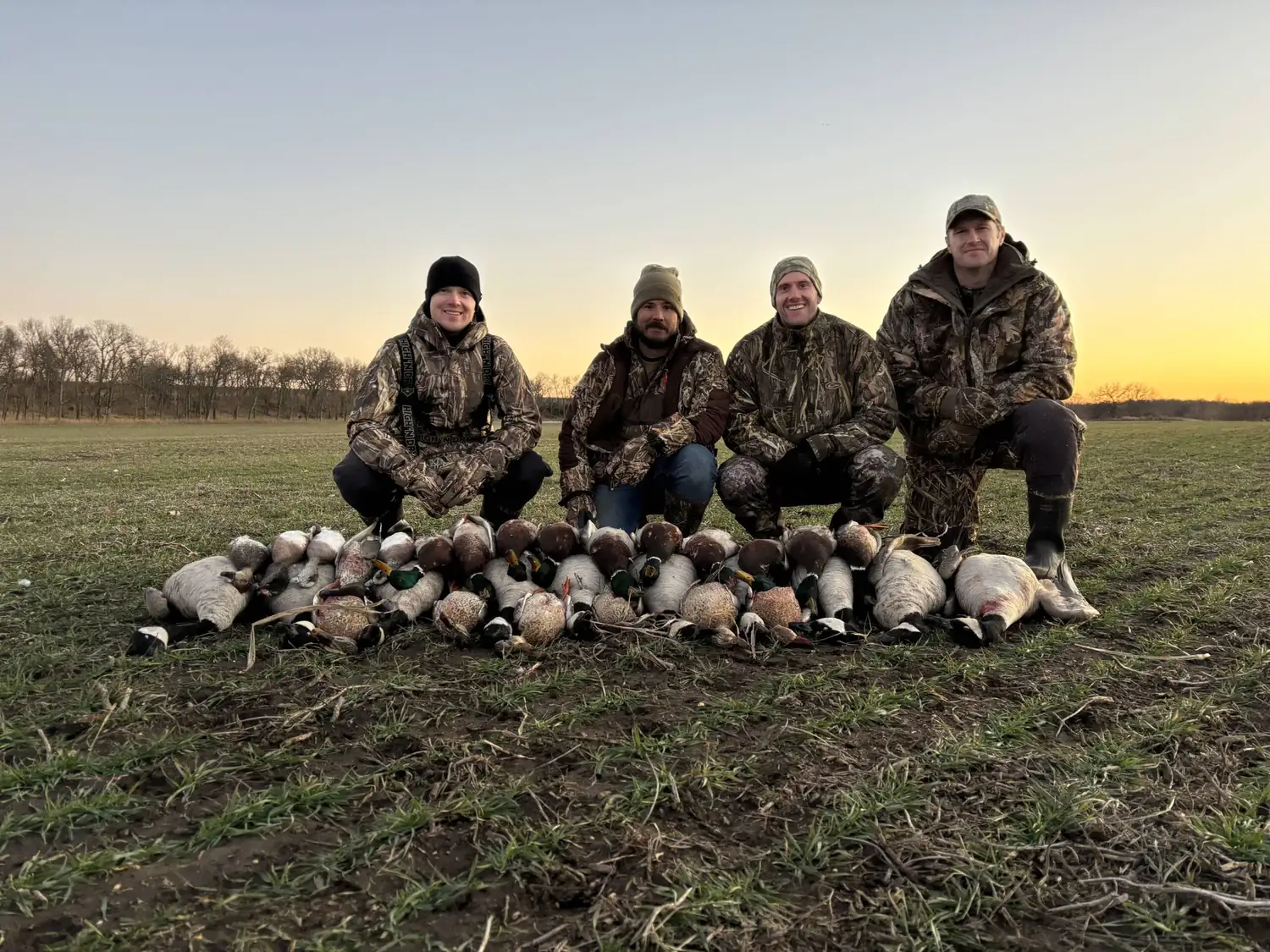 Hunters at sunrise with a strap of Canada geese laid out
