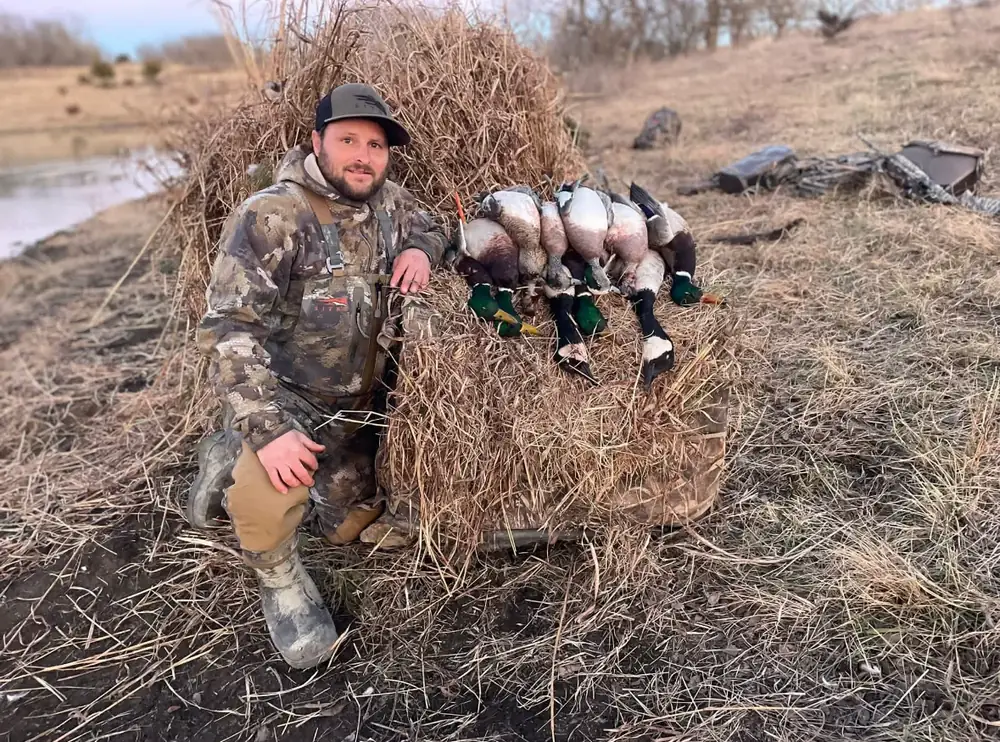 Hunter kneeling with a strap of geese in the cut field