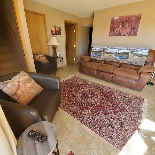 Downstairs living area with wood stove and leather sectional