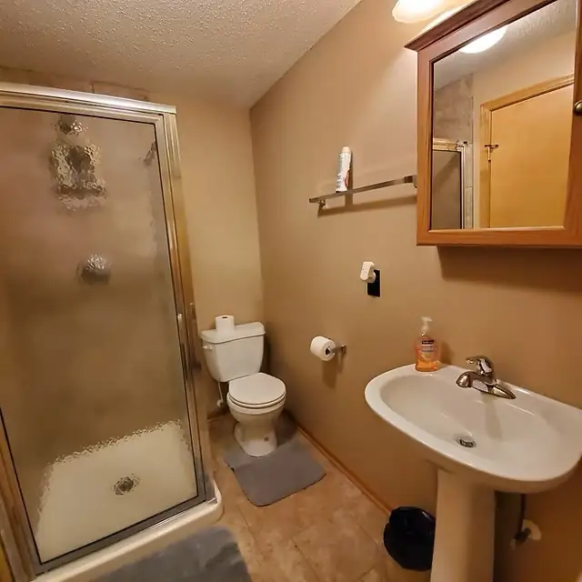 Walk-in shower bathroom at Lake Lodge