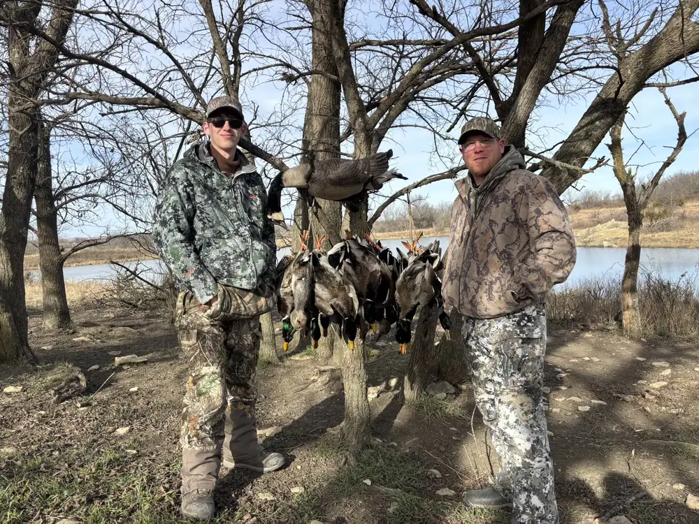 Layout rig and full decoy spread set on a picked field